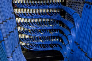 Blue Cat6 data cables neatly channeled into their specified ports, showcasing organized and efficient network cabling for seamless data communication.